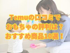 TEMUおもちゃ