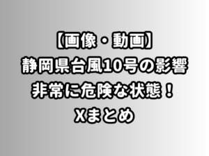 【画像・動画】静岡県台風10号の影響非常に危険な状態！Xまとめ