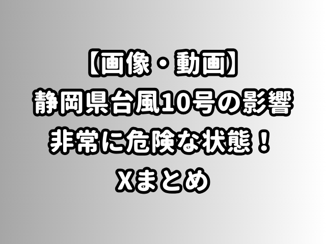 【画像・動画】静岡県台風10号の影響非常に危険な状態！Xまとめ