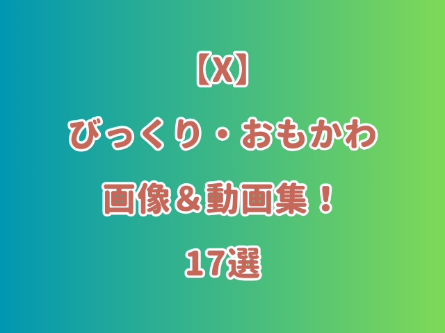 【X】びっくり・おもかわ画像＆動画集！17選