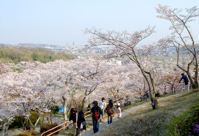 摂津峡公園