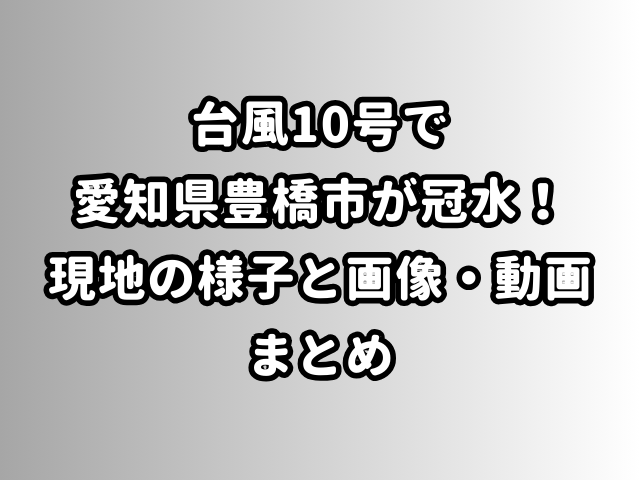 台風10号で愛知県豊橋市が冠水！現地の様子と画像・動画まとめ