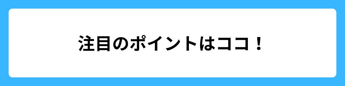 注目のポイント