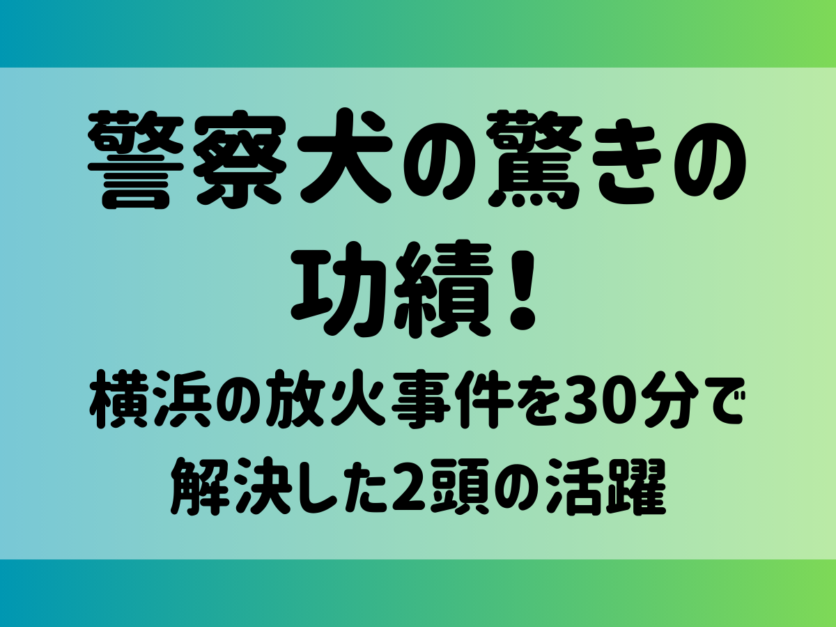 警察犬の驚きの功績！横浜の放火事件を30分で解決した2頭の活躍