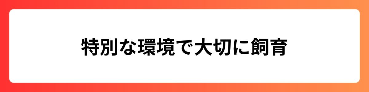 特別な環境で大切に飼育