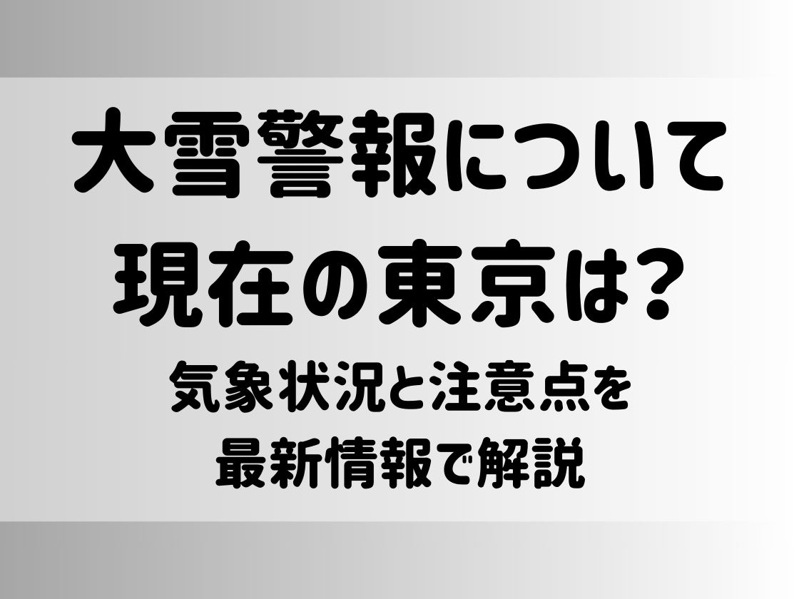 大雪警報について現在の東京は？気象状況と注意点を最新情報で解説